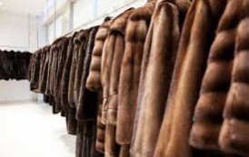Лето - лучшее время для покупки меховых изделий